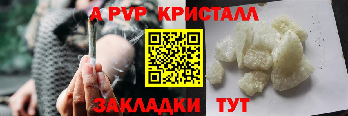 A PVP СК КРИС Рязань